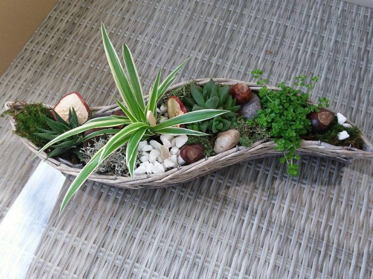 paniere-de-plantes
